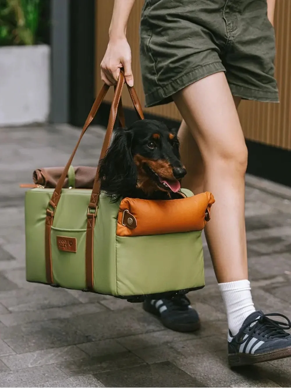Luxury Pet Carrier and Seat - Green by Funny Fuzzy